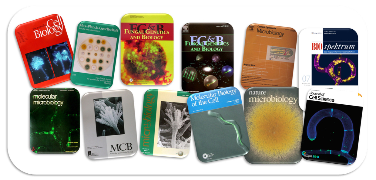 Fischer covers